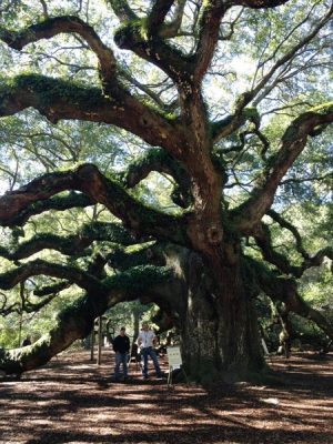 Charleston County, SC